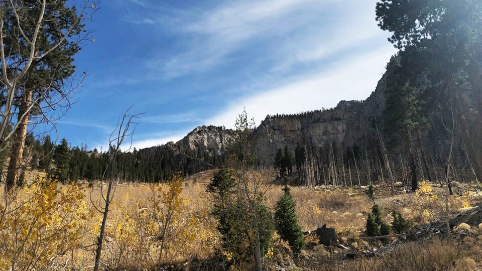 Cathedral Rock Trail Area