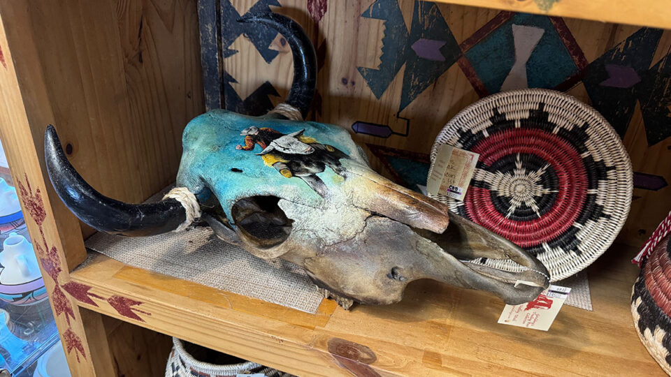 Painted Skull at Gouldings, AZ Gift Shop