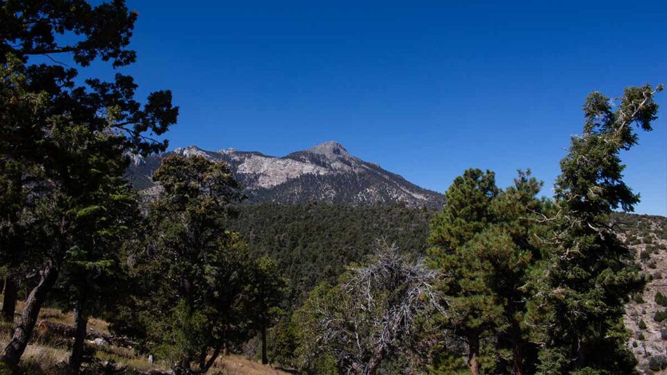 Stunning Views From Mt Charleston Campground