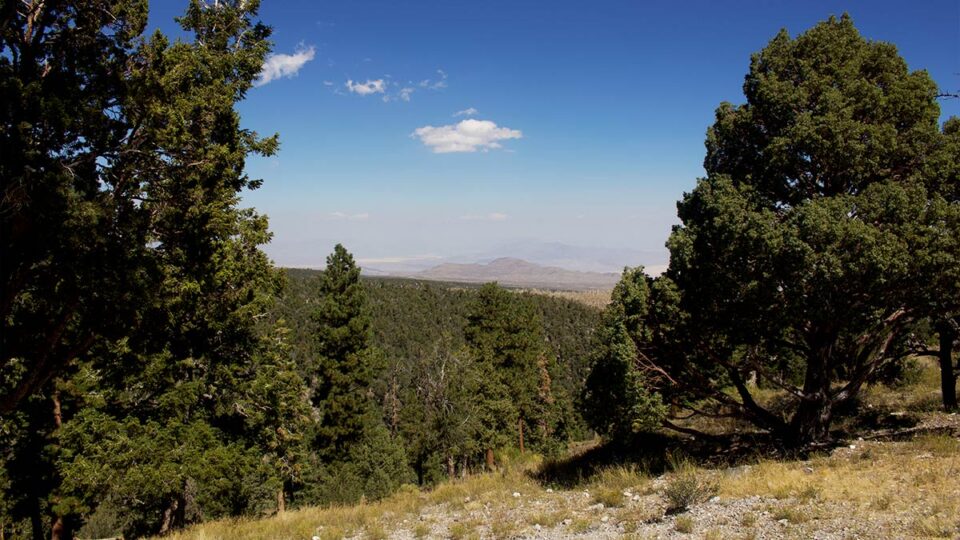 view from Hilltop Campground