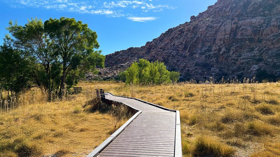 Calico Basin Red Spring Boardwalk