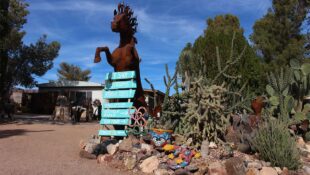 Planting Memories at Cactus Joe’s