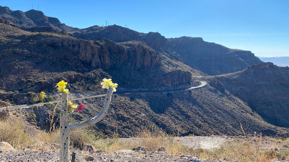 Road Heading north from oatman towards Kingman AZ
