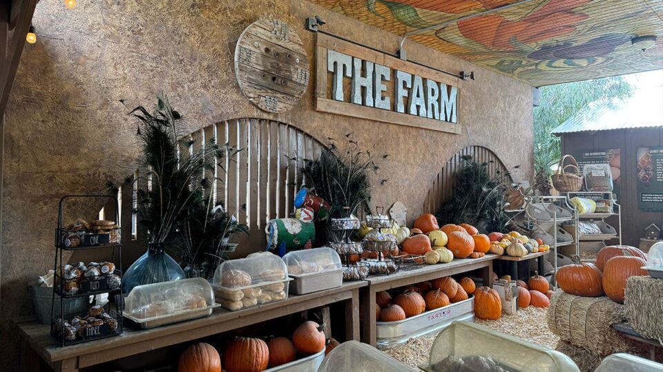 Baked Goods and Pumpkins for Sale