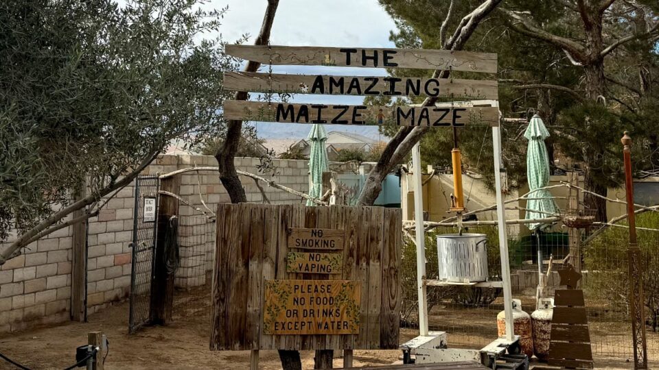 Entrance to the Amazine Maize Maze at the Farm