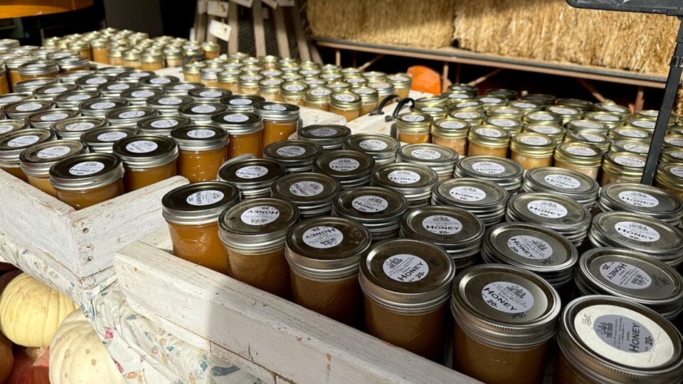 Shop Local Honey at The Farm