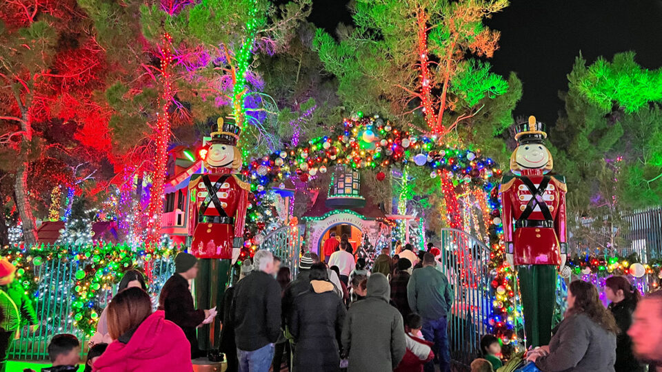 Spark The Christmas Spirit At Magical Forest