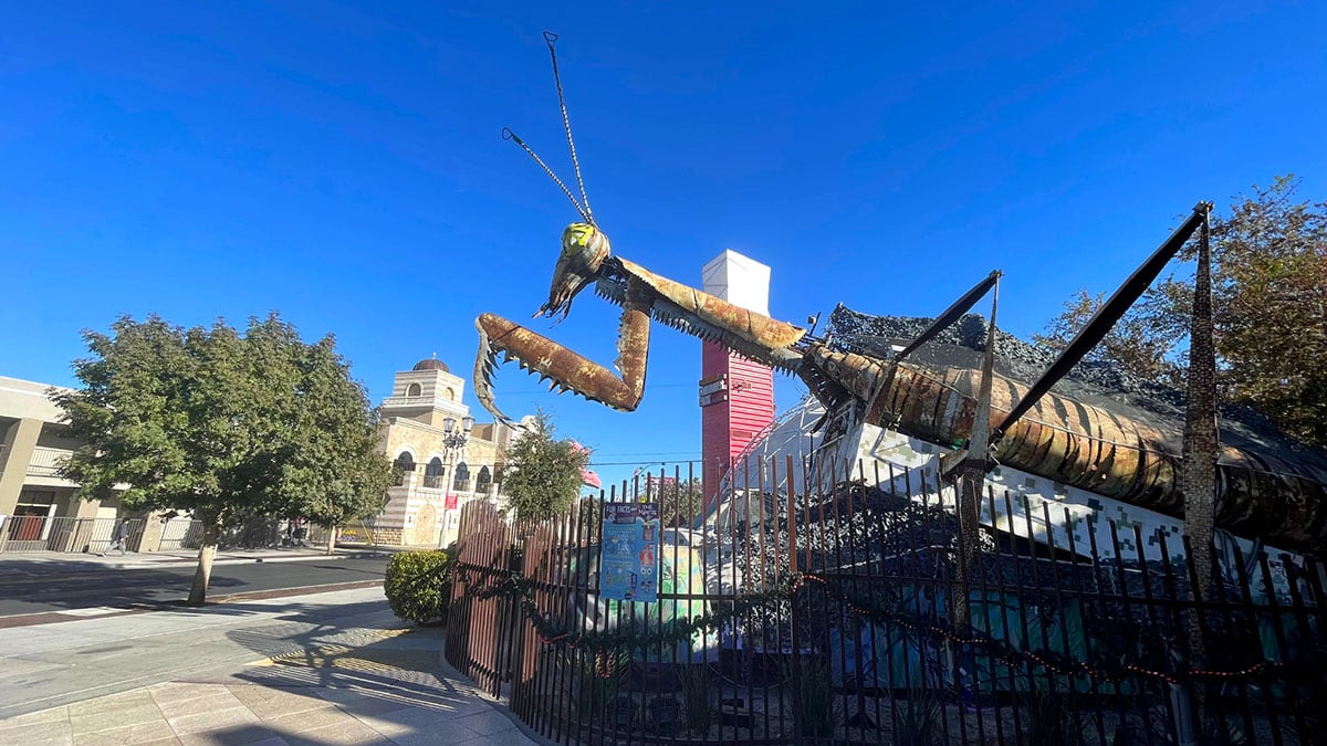 Fire Breathing Praying Mantis at Downtown Container Park