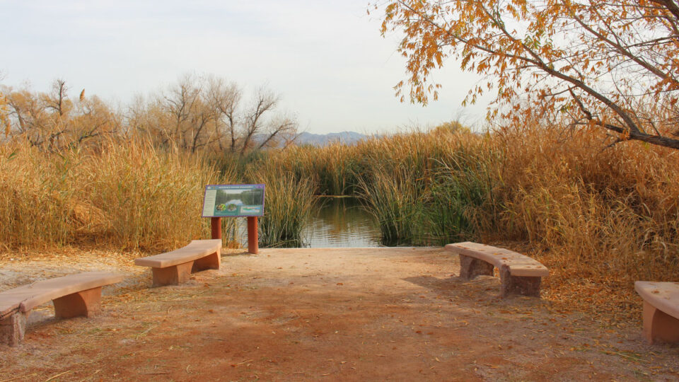 Nature & Adventures Await at Wetlands Park