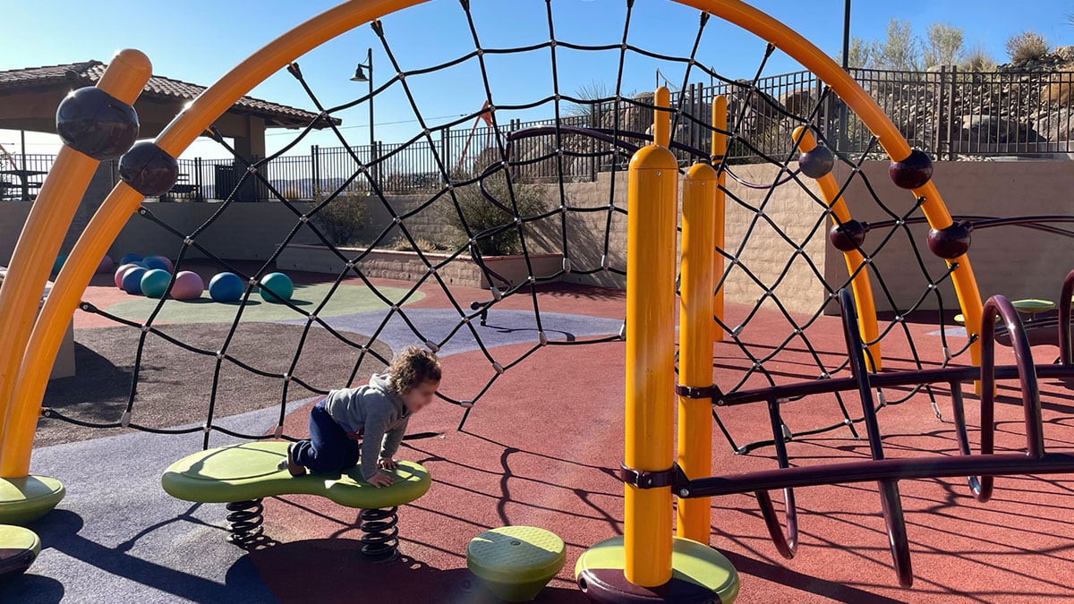 Climbing Structure at Fox Hill Park