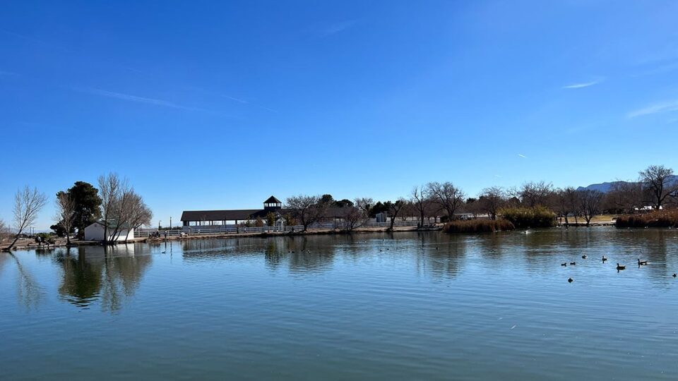 Far Side Lake View of Floyd Lamb Park