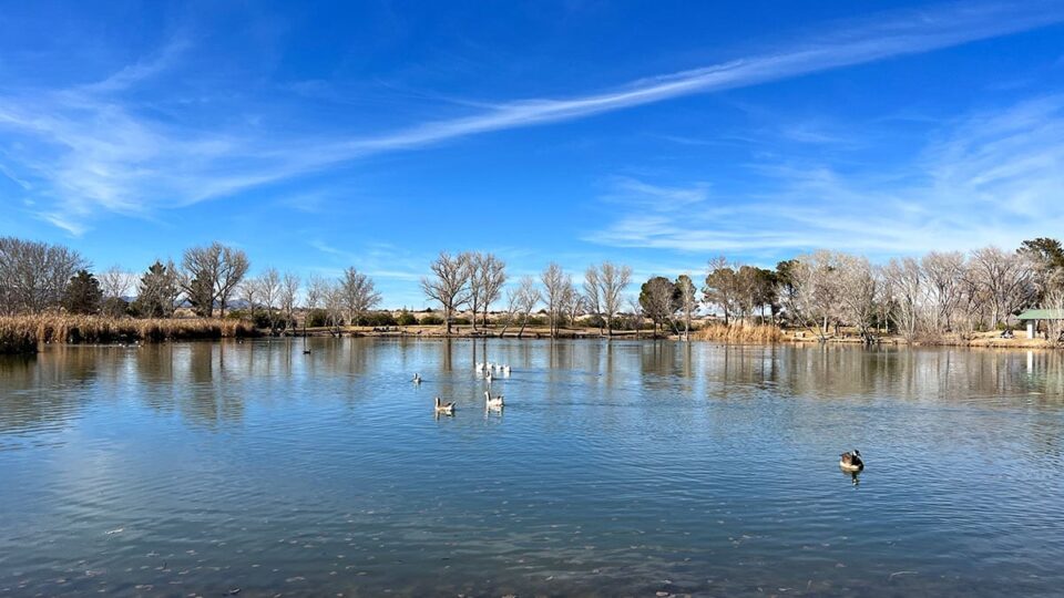 Scenic View of the Lake at Floyd Lamb Park