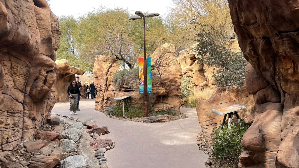 Walkway in Springs Preserve