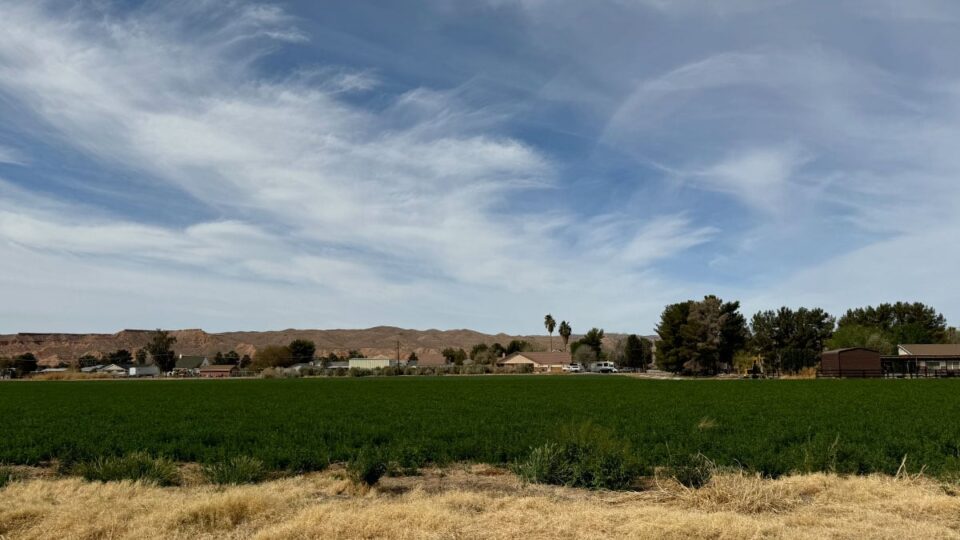 Ranches and homes in Overton, Nevada