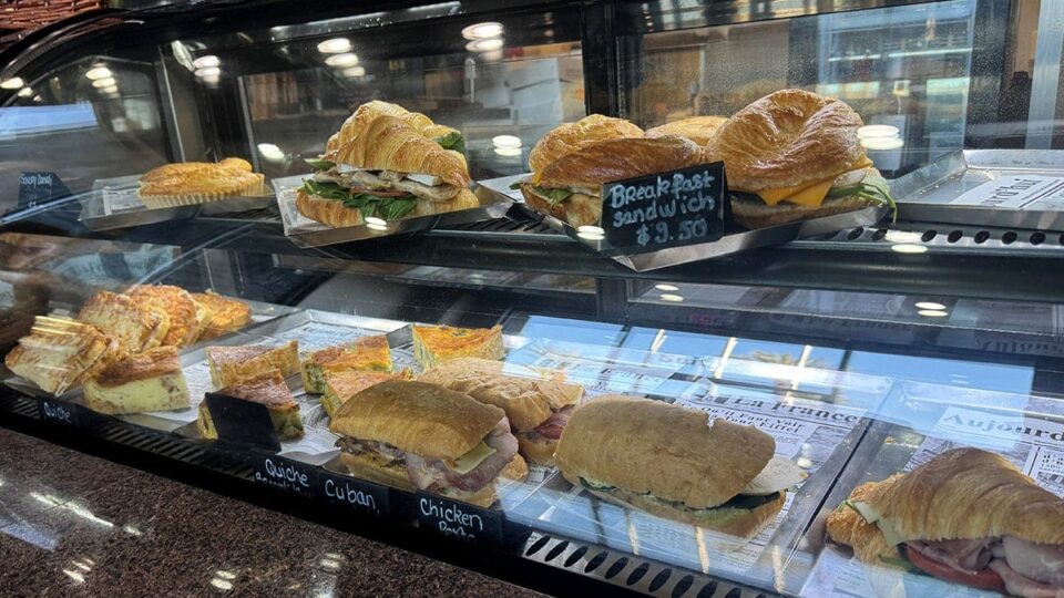 Delicious Lunch Choices