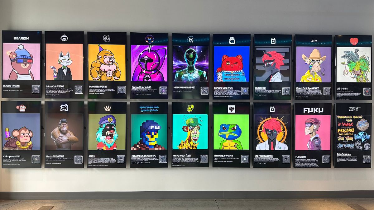 From Canvas to Code Exploring JRNY Gallery