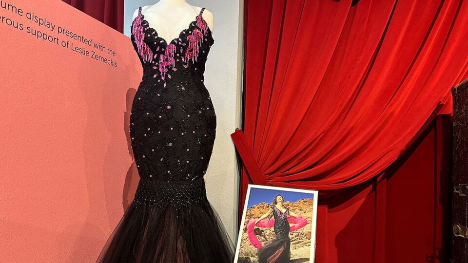 Leslie Zemecki Dress at Burlesque Hall of Fame