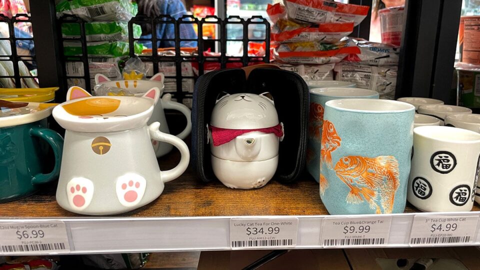 Tea Cups from Nakata Market