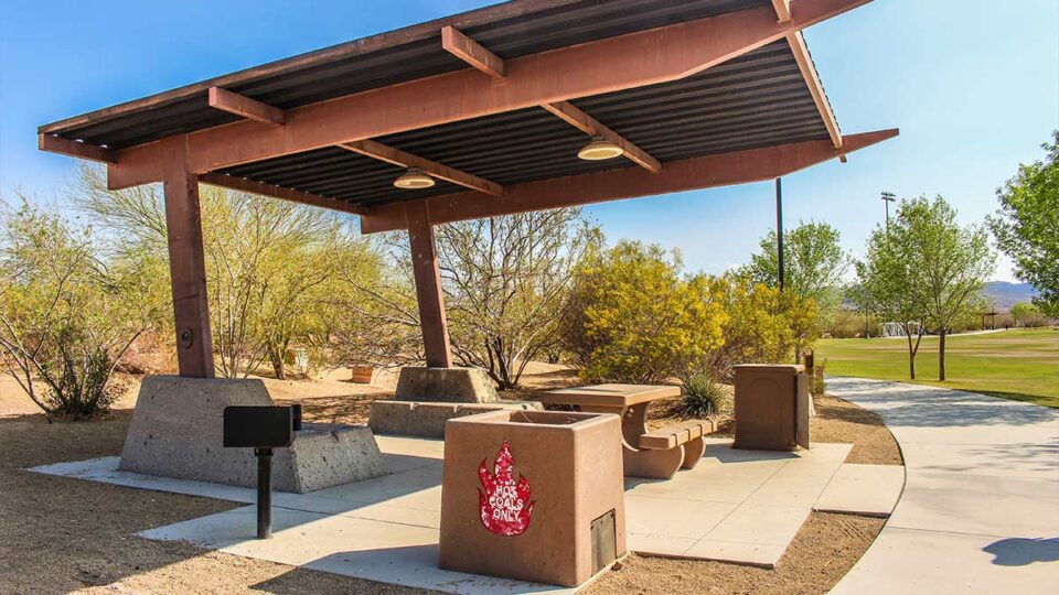 bbq at the park