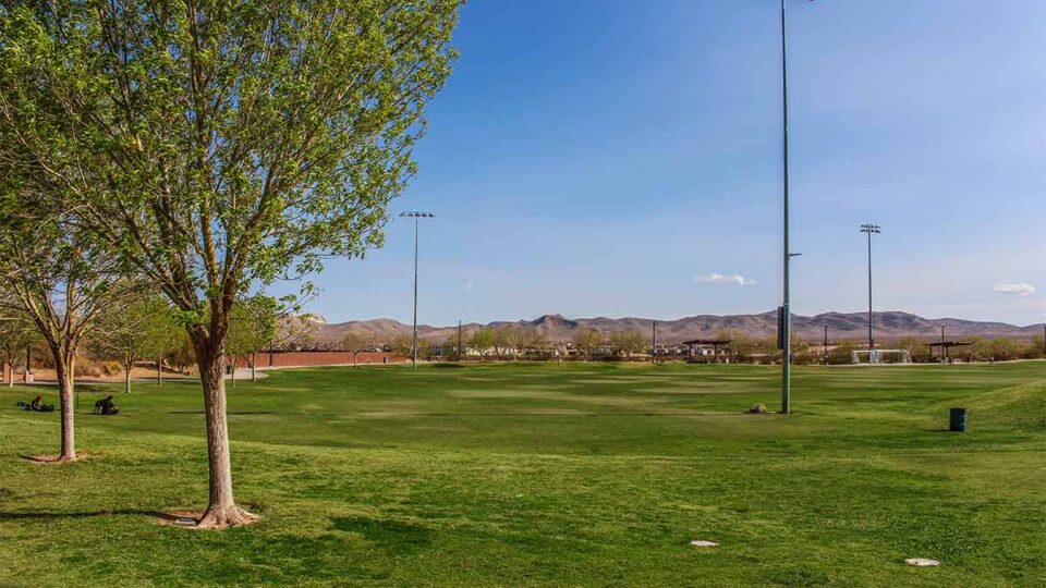 park-area-green-grass