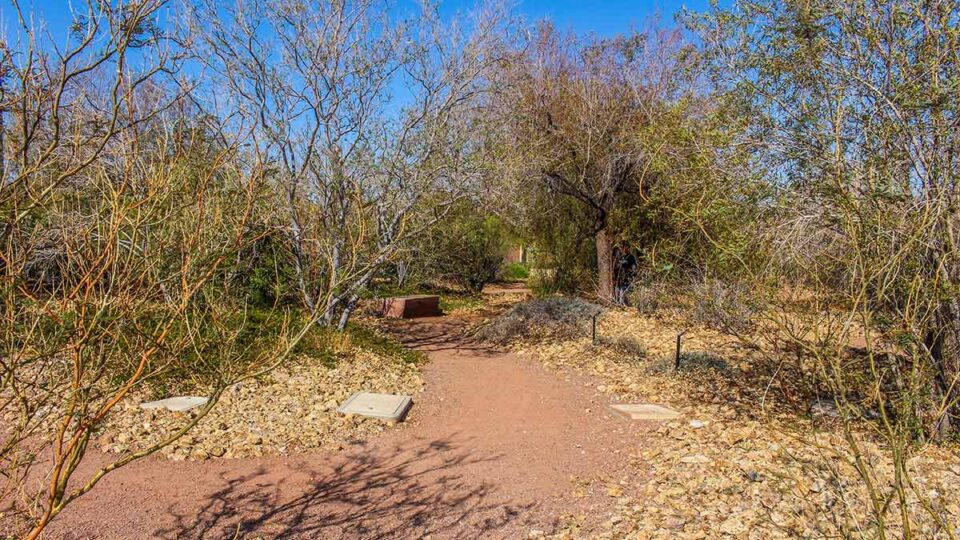 Tree-lined walking path with benches at Mountain’s Edge Regional Park
