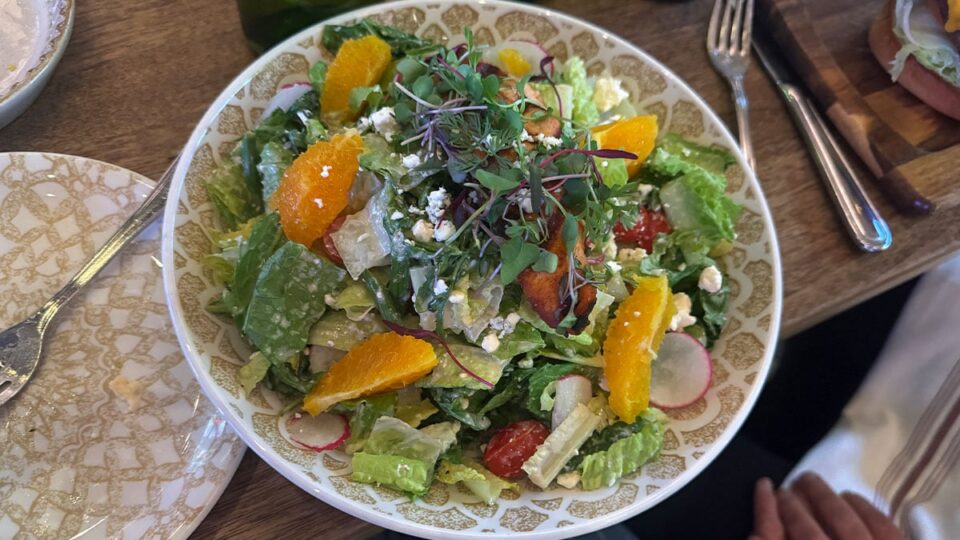 Salmon Salad