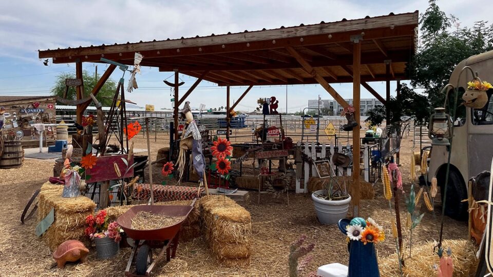 Barn life at McKee Ranch