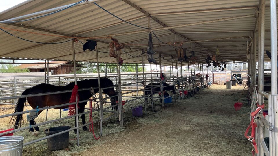 Horse Stalls at McKee Ranch
