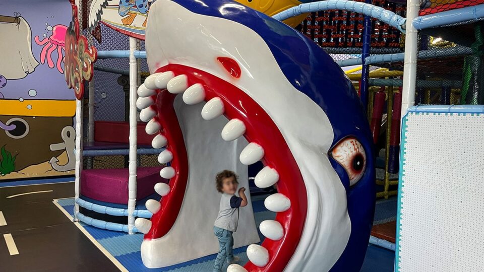 Wally Wombats Sharkzone