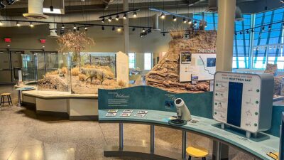 Wetlands Park Nature Center