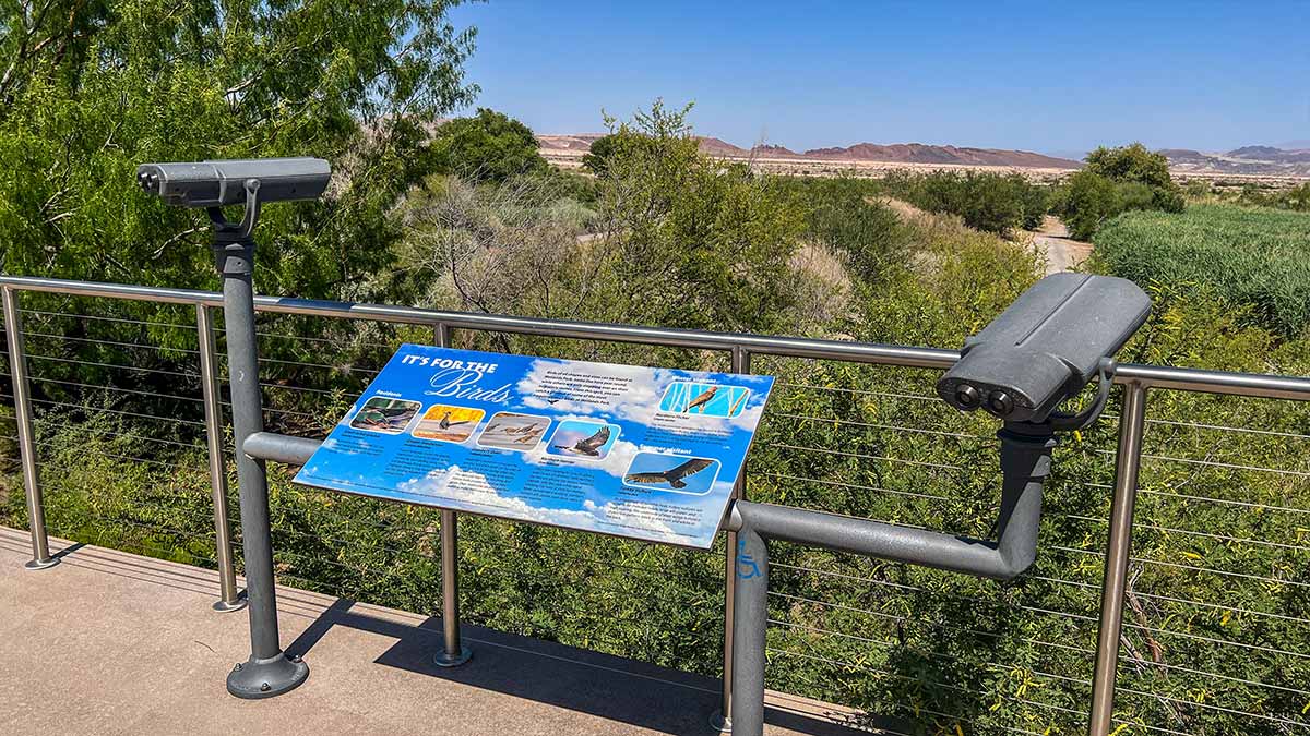 birdwatching-outpost-wetlands