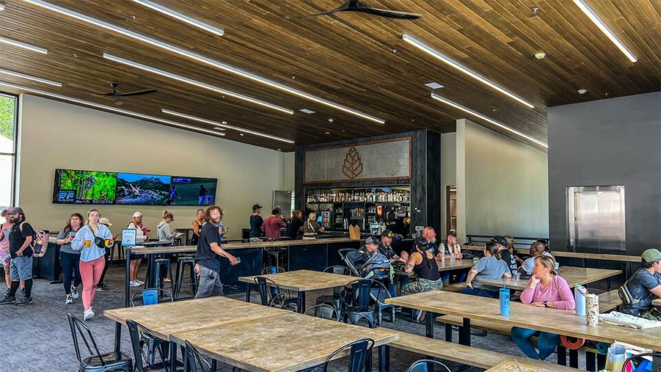 bristlecone-bar-inside-lee-canyon