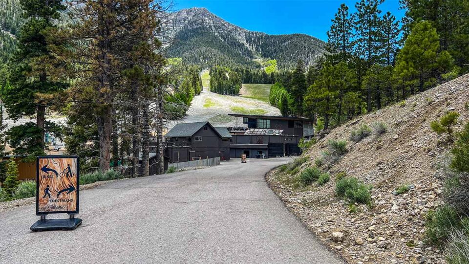 walking-down-into-lee-canyon-after-parking