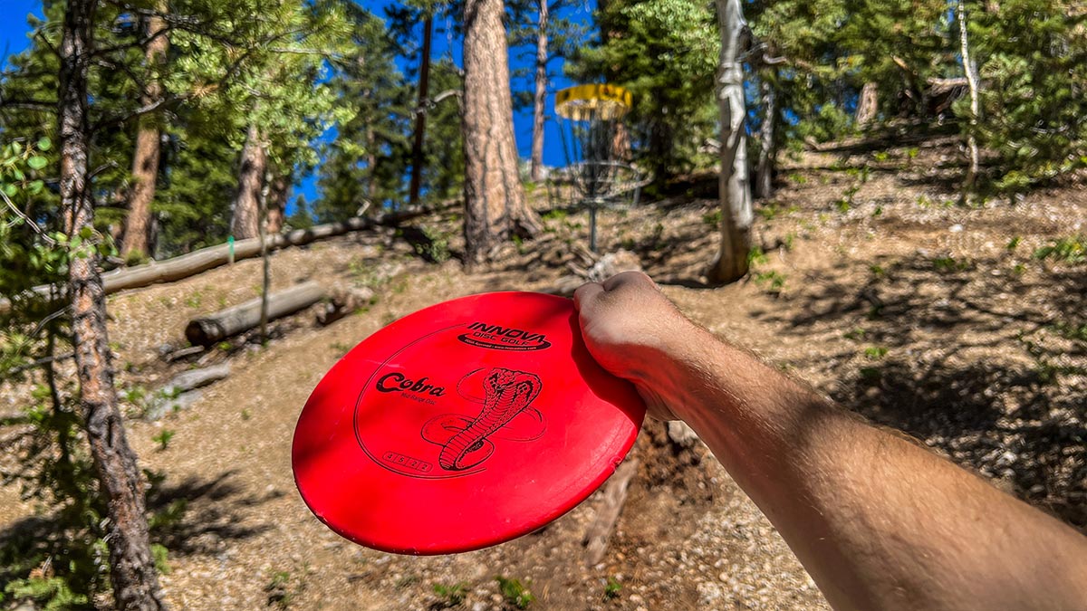 Disc Golf At Lee Canyon