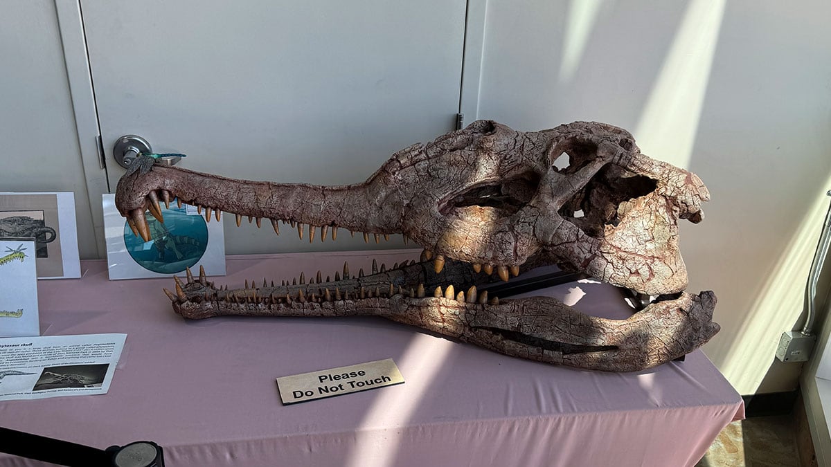St. George Dinosaur Discovery Site