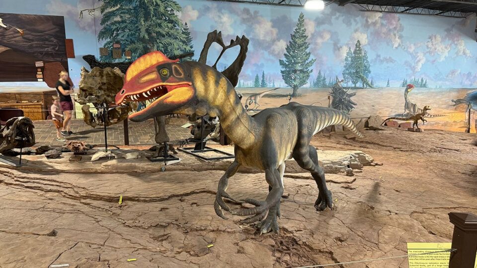 Walk alongside raptors and dinosaurs in a beautiful exhibit