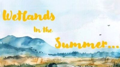 Wetlands in the Summer Lectures