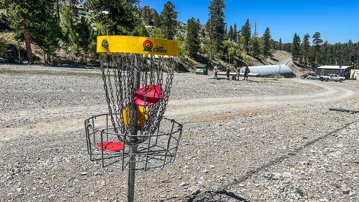 discs-in-lee-canyon-basket-hole-1