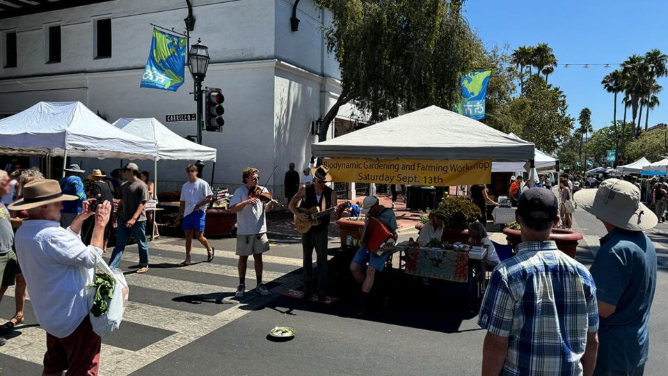 Artists playing live music at State St. Farmers Market