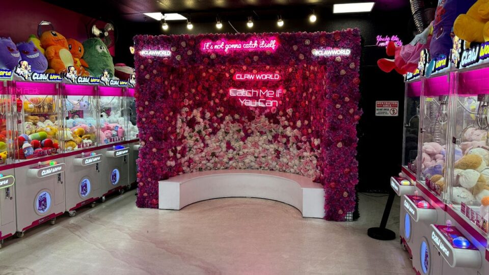 Inside Claw World on Durango and Flamingo