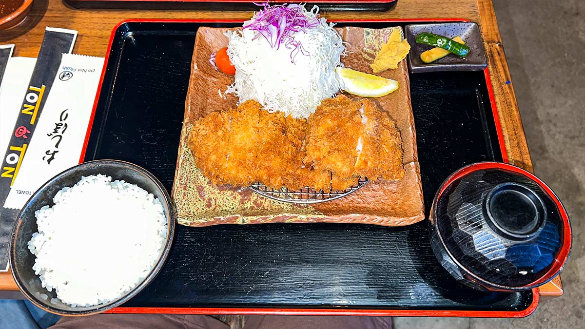Organic Chicken Katsu Set