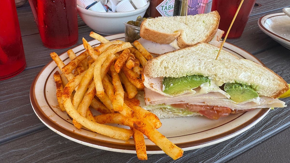 Turkey Sandwich
