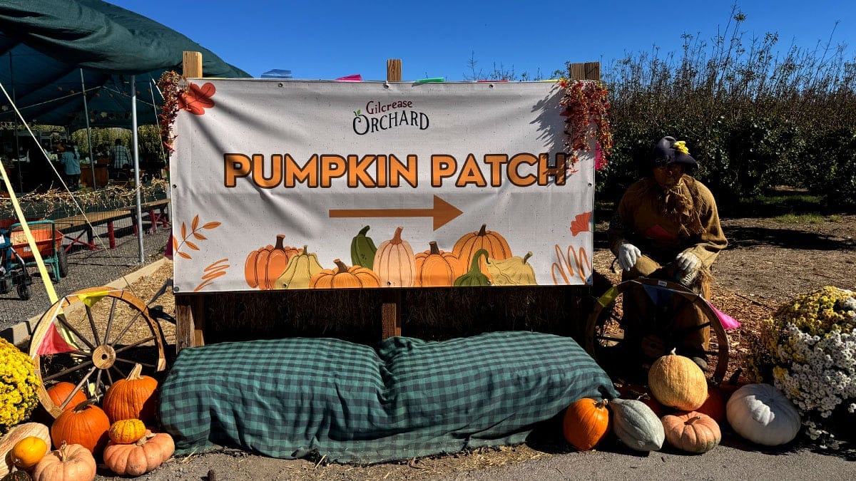 A Pumpkin Patch for Memories