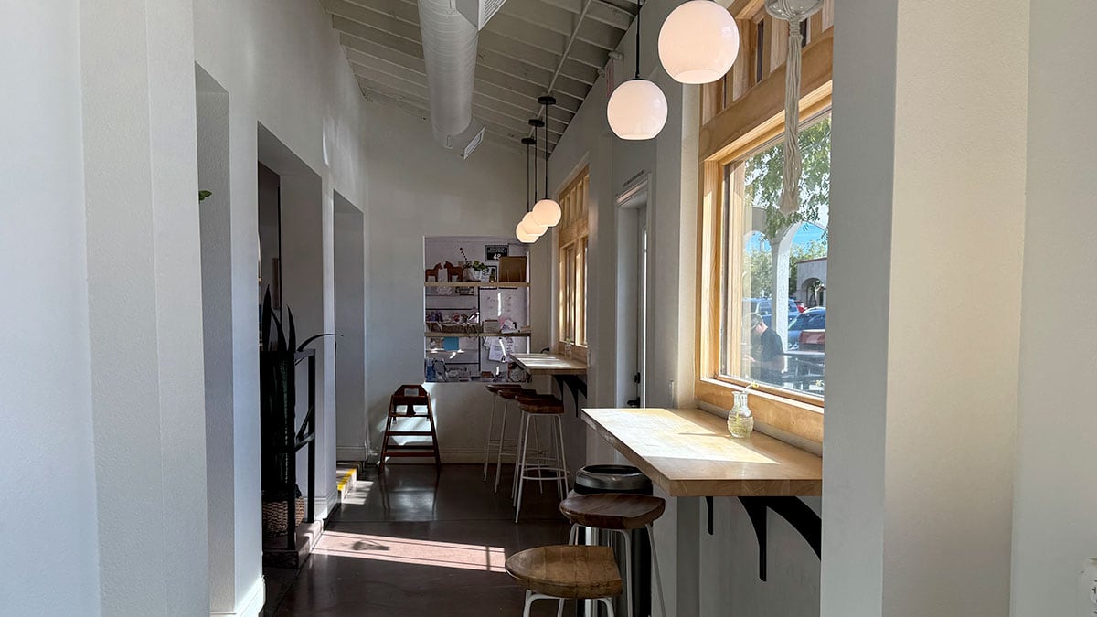 Bar seating at Dam Roast House illuminated by natural sunlight.