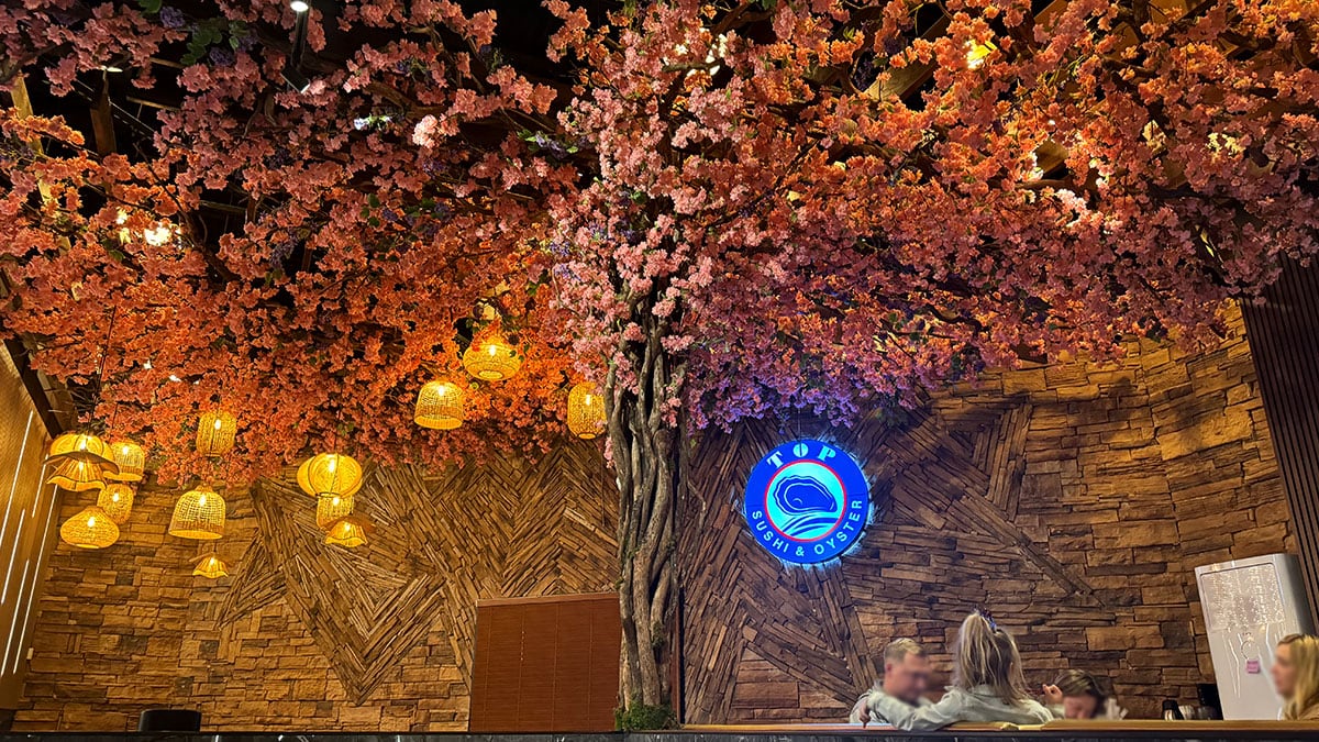 Top Sushi & Oyster Cherry Blossom and Lanterns beautifully decorating the ceiling