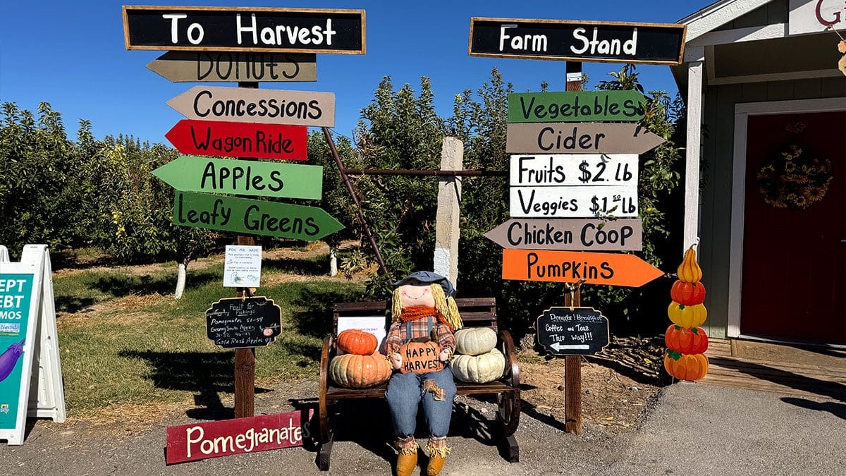 Gilcrease Orchard Las Vegas