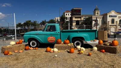 Halloween Town Pumpkin Patch in Boca Park