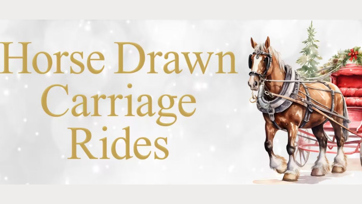 Horse-Drawn Carriage Rides at Tivoli Village