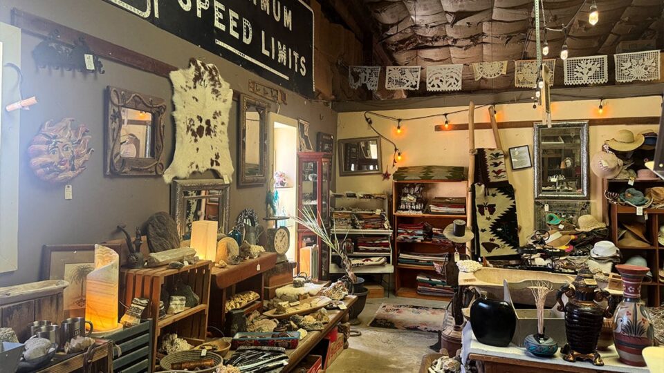 Inside China Ranch date farm store