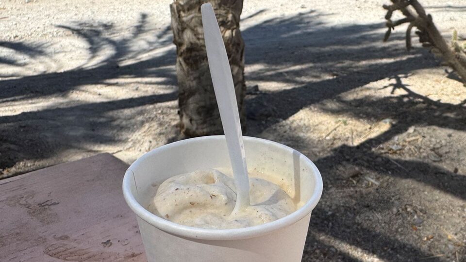 The Famous Date Milkshake at China Ranch Date Farm